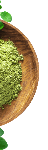 Moringa Powder